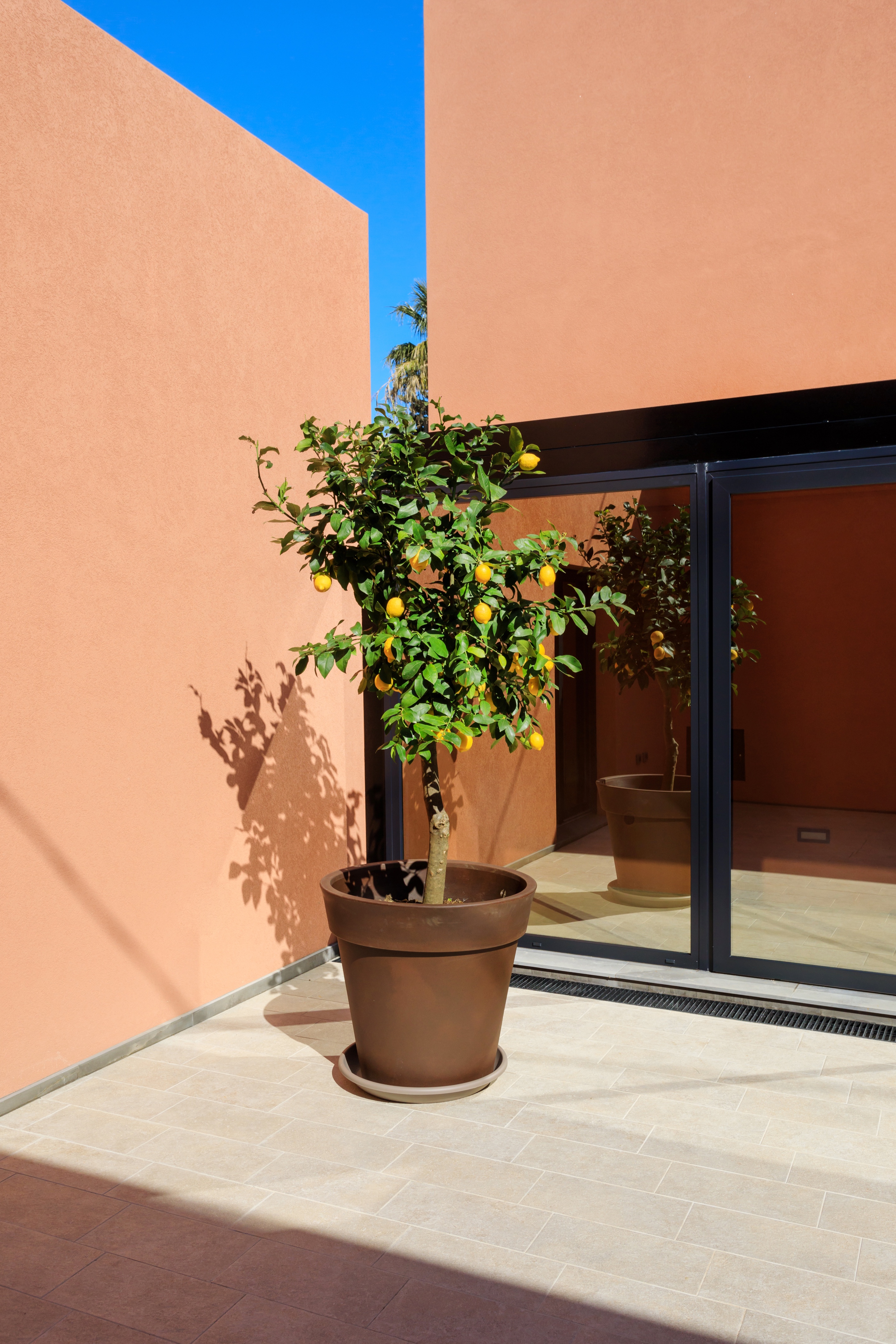 CasaFEVI 别墅改造丨意大利特拉帕尼-18