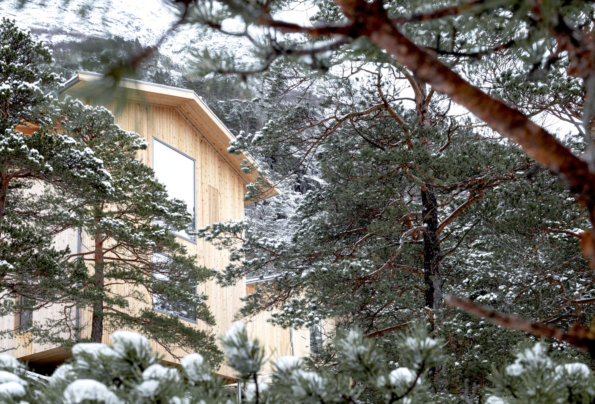 陡峭的住房丨挪威丨Reiulf Ramstad Arkitekter-19