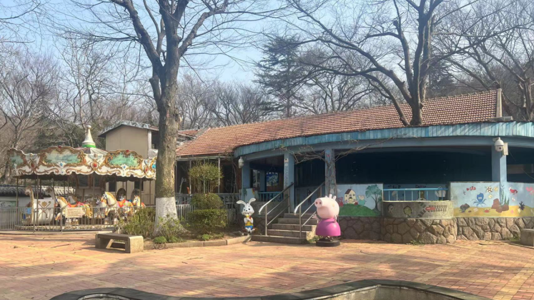 百姓乐园：榉林山焕新归来，悦享自然人文之美-18