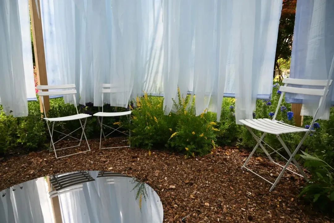 “见天地，愈身心”：我院景观系师生打造中医药疗愈花园@上海国际花展-6