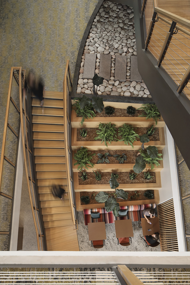 自然之境 | Promega Corporation Kornberg Center 生物技术研究中心设计-33