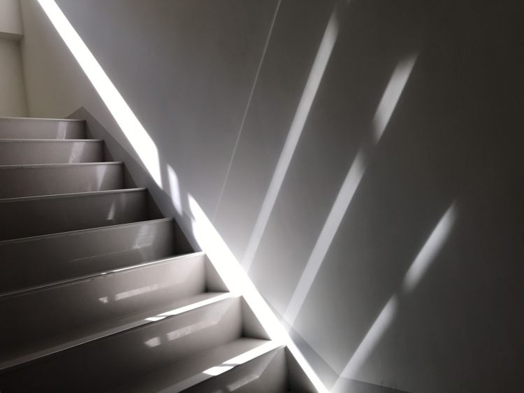 屏東簡約住宅榮獲2017年柏林金獎、倫敦銀獎-良悅建築！ - WEHOUSE-3