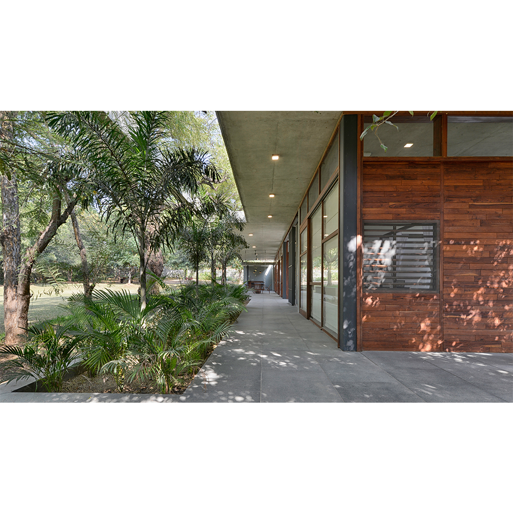 the house by the trees-15