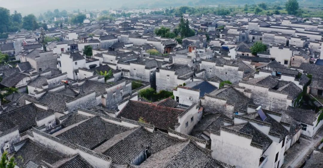 回声花园 · IT 夫妇的乡野生活丨中国黄山丨红子,小可夫妇-24