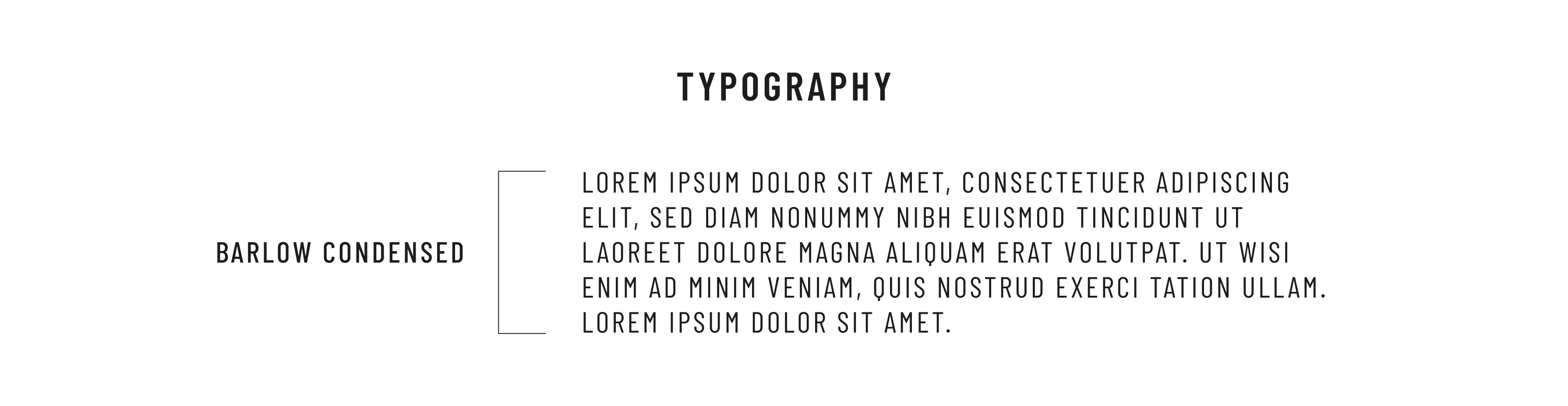 COSMO 品牌发展-9