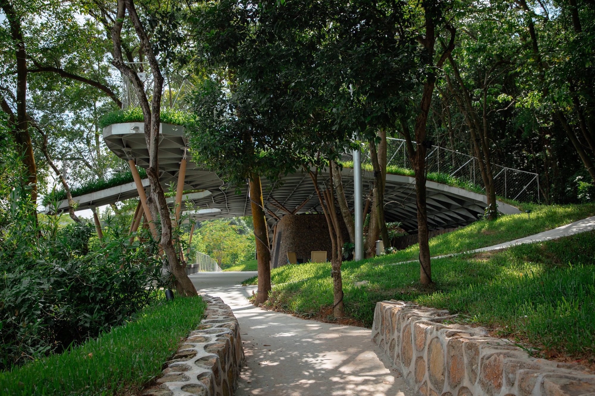 Five  Finger Pavilion（凤凰谷亭）丨中国惠州丨YXDesigners-59