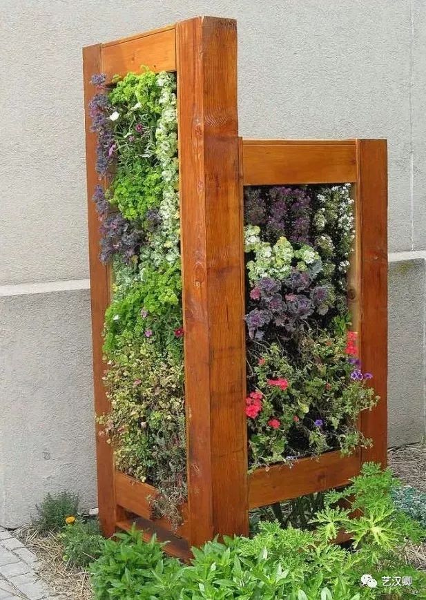 创意多肉墙 | 绿色装饰的艺术魅力-9