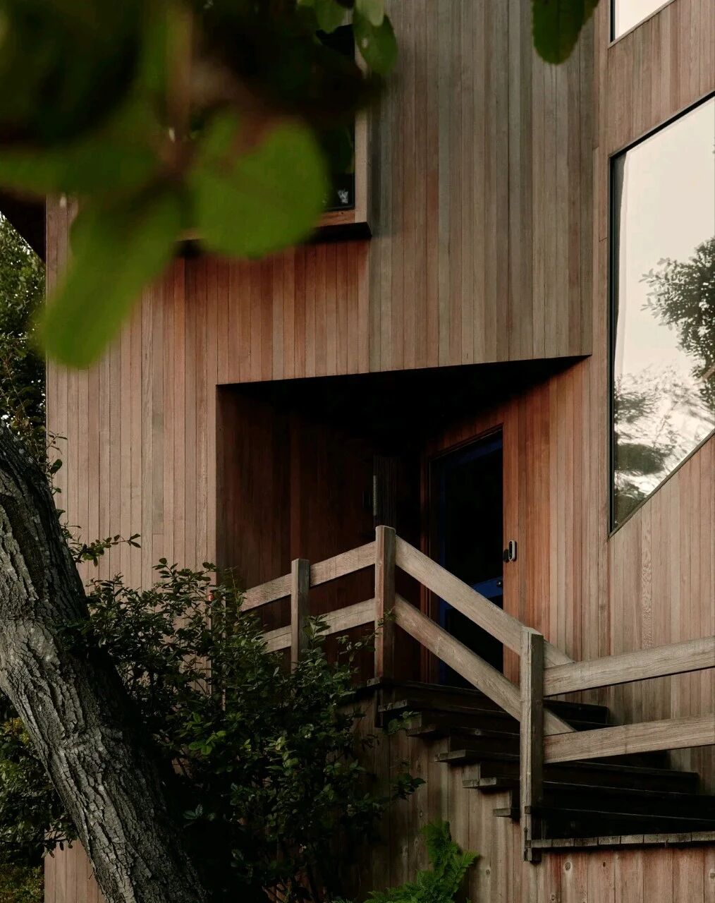 Sea Ranch 树屋丨美国加利福尼亚丨Catherine Kwong Design-39