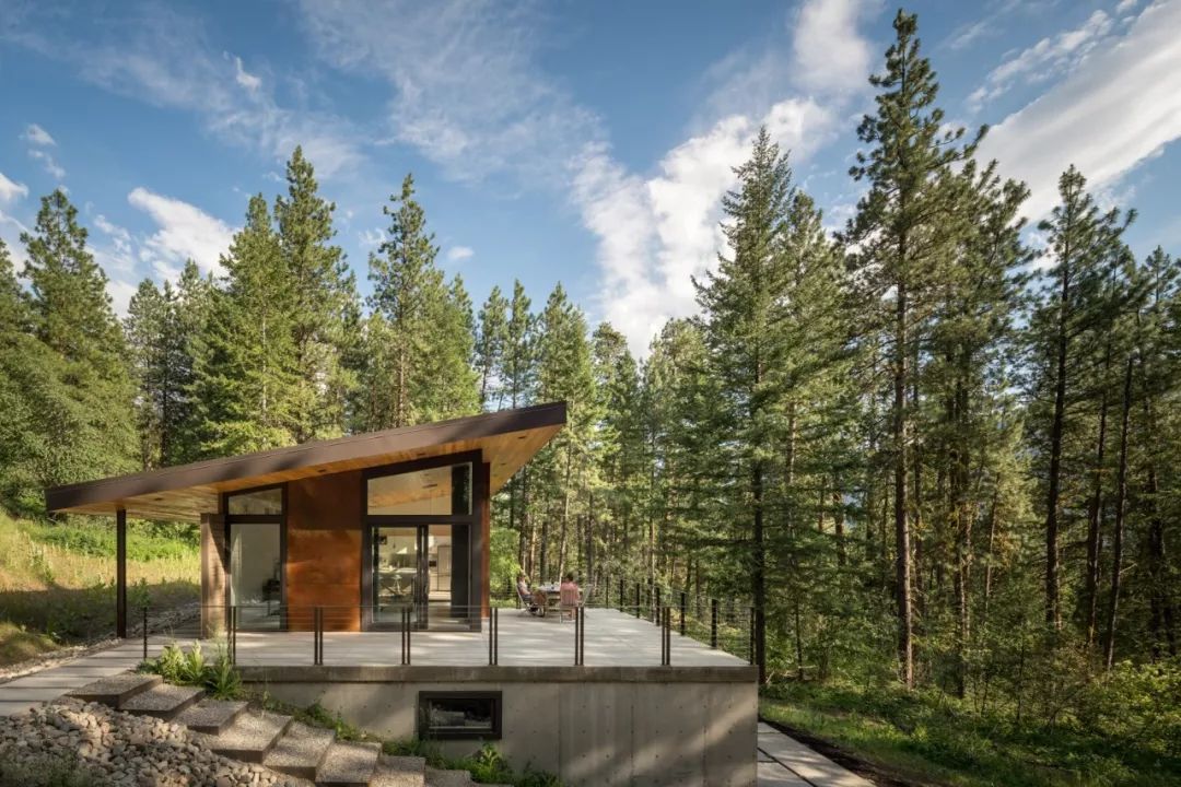 西雅图之光 | Stephenson Design Collective 的平衡空间艺术-23