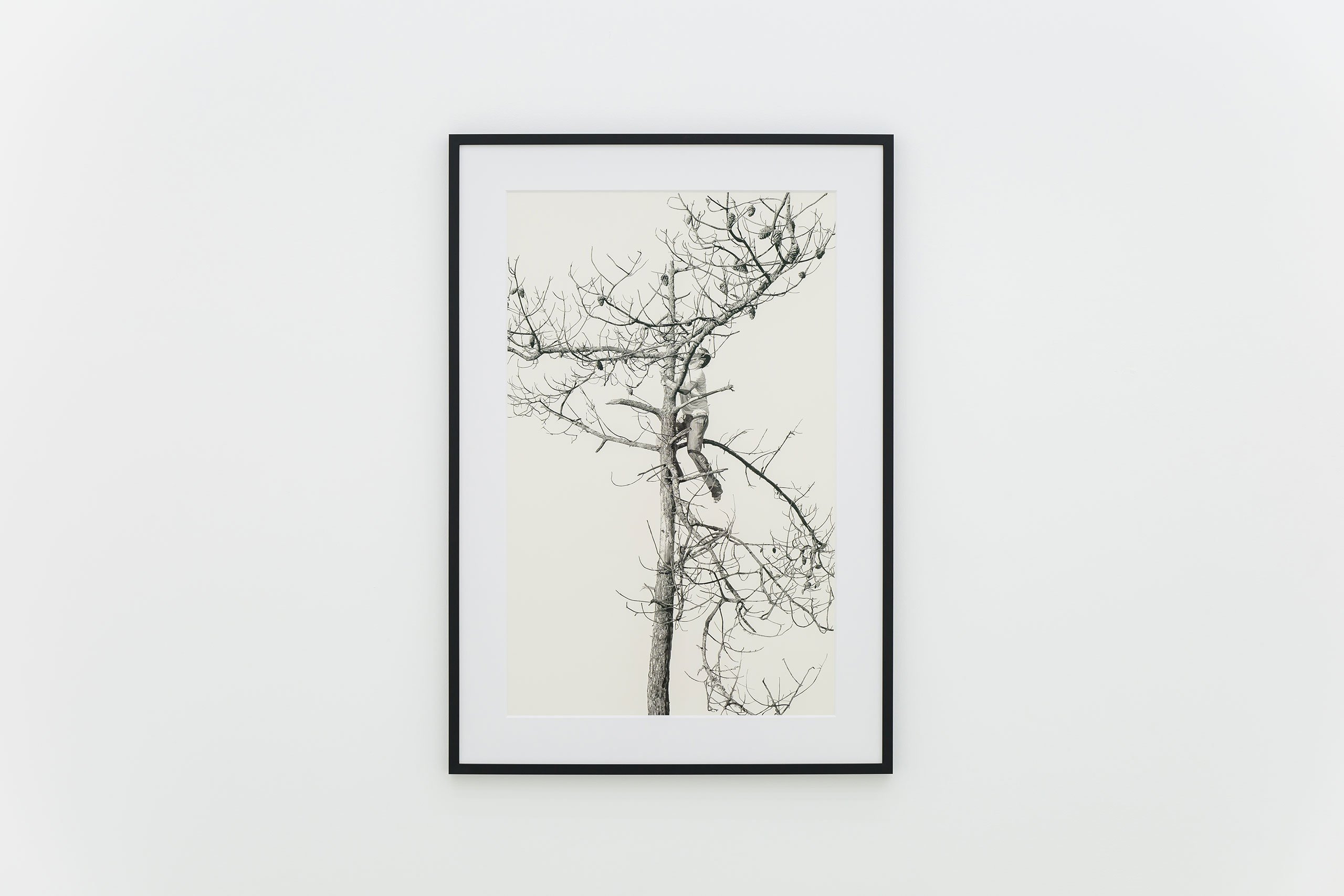 From Island to Island, the Landscape that Disappears: Fabien Mérelle's Solo Show in Hong Kong | Yatzer-39