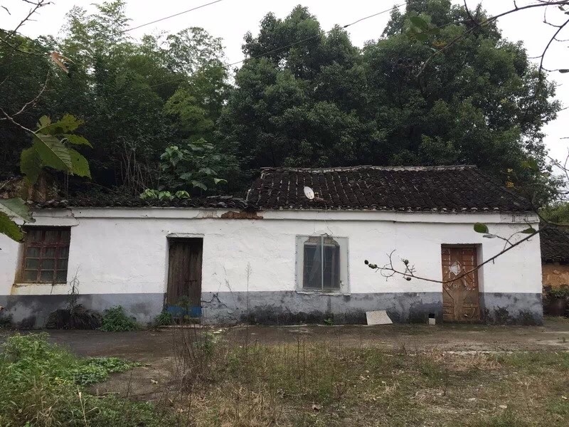 老宅改建:重塑20年最美乡村民宿-6