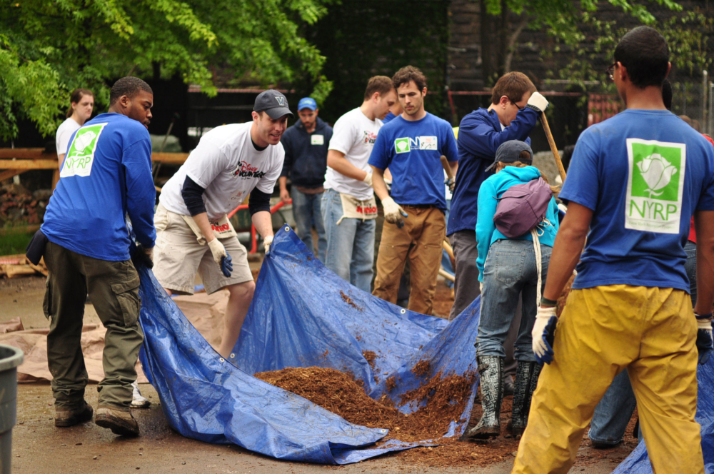 
          103rd Street Community Garden - SCAPE      -1