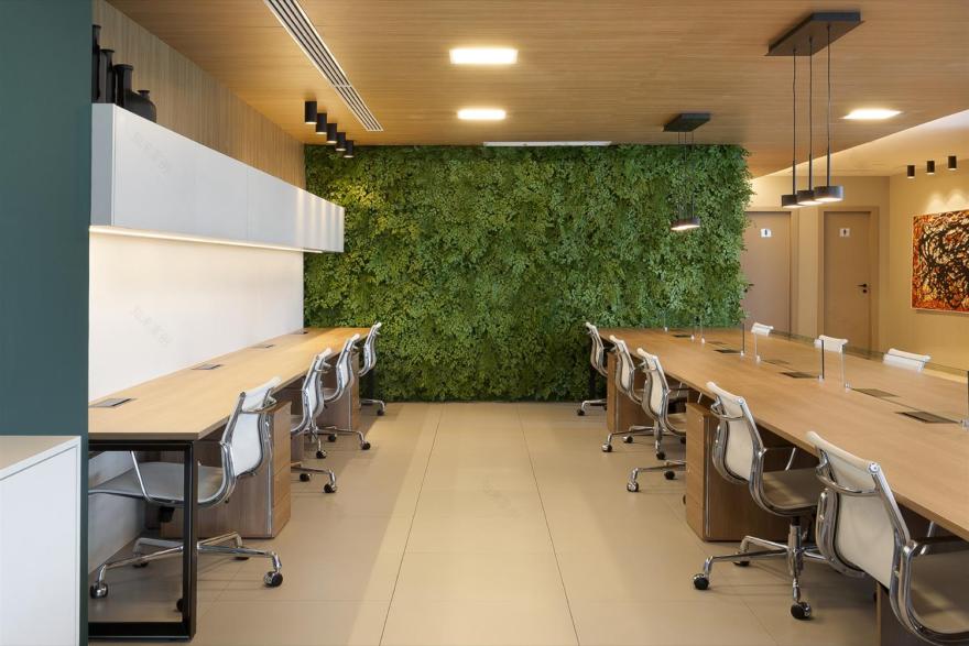 巴西 Direto 办公室-3