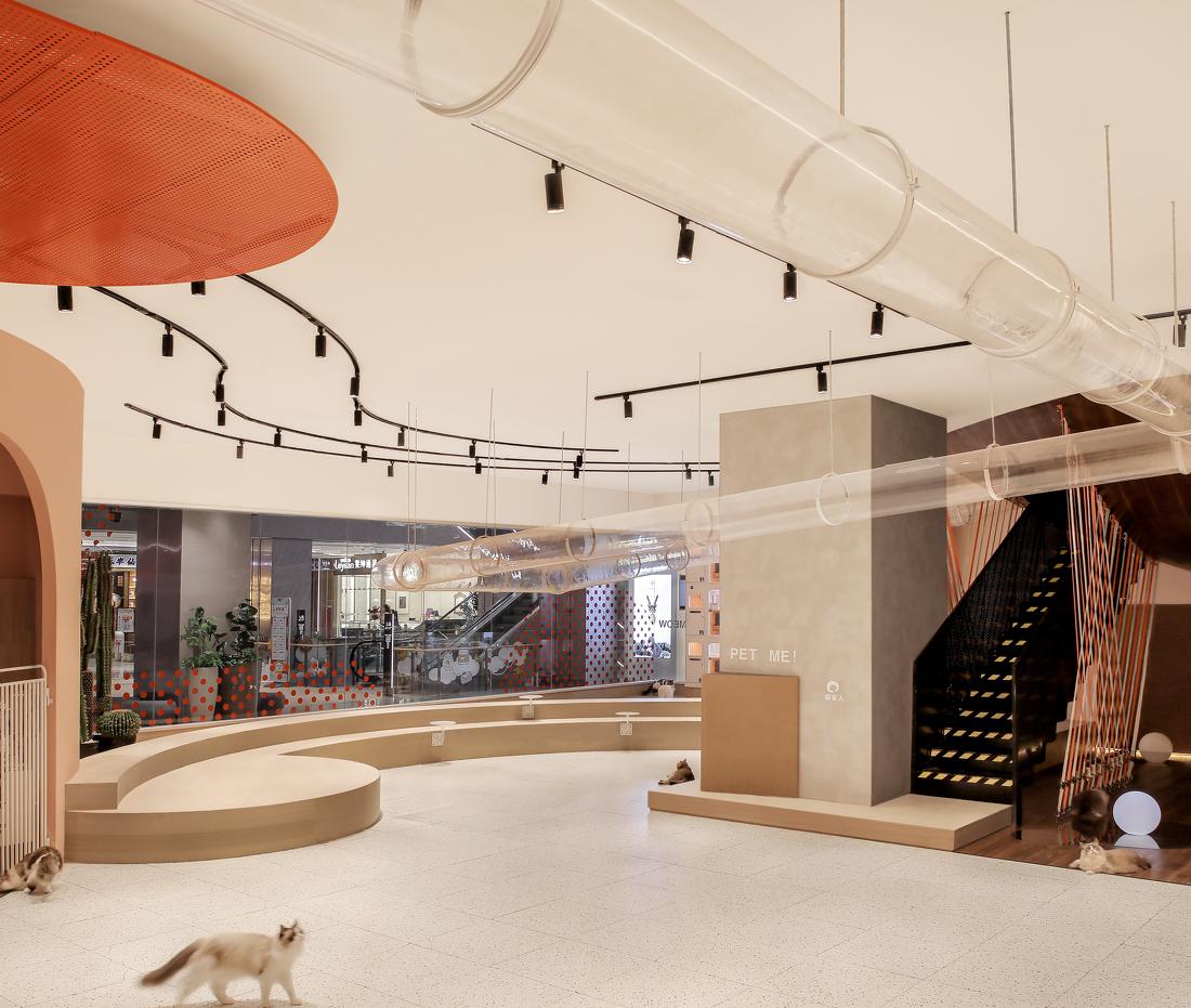 喵星人入侵 · 猫咪共享空间丨中国青岛丨黄士华-10