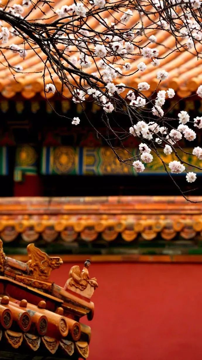 新中式家居空间,红墙碧水演绎亦古宜今的美学魅力-9