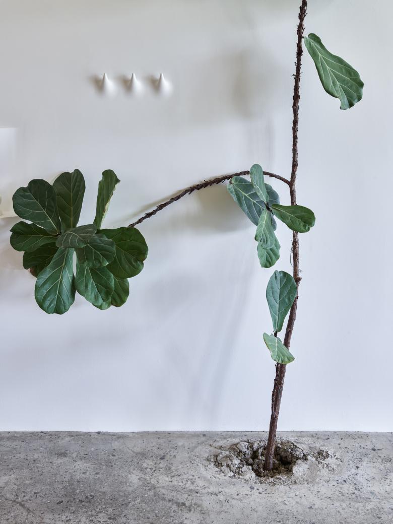 生产大楼思维工作室丨奥地利丨Kurt Hörbst Architekturfotografie-10