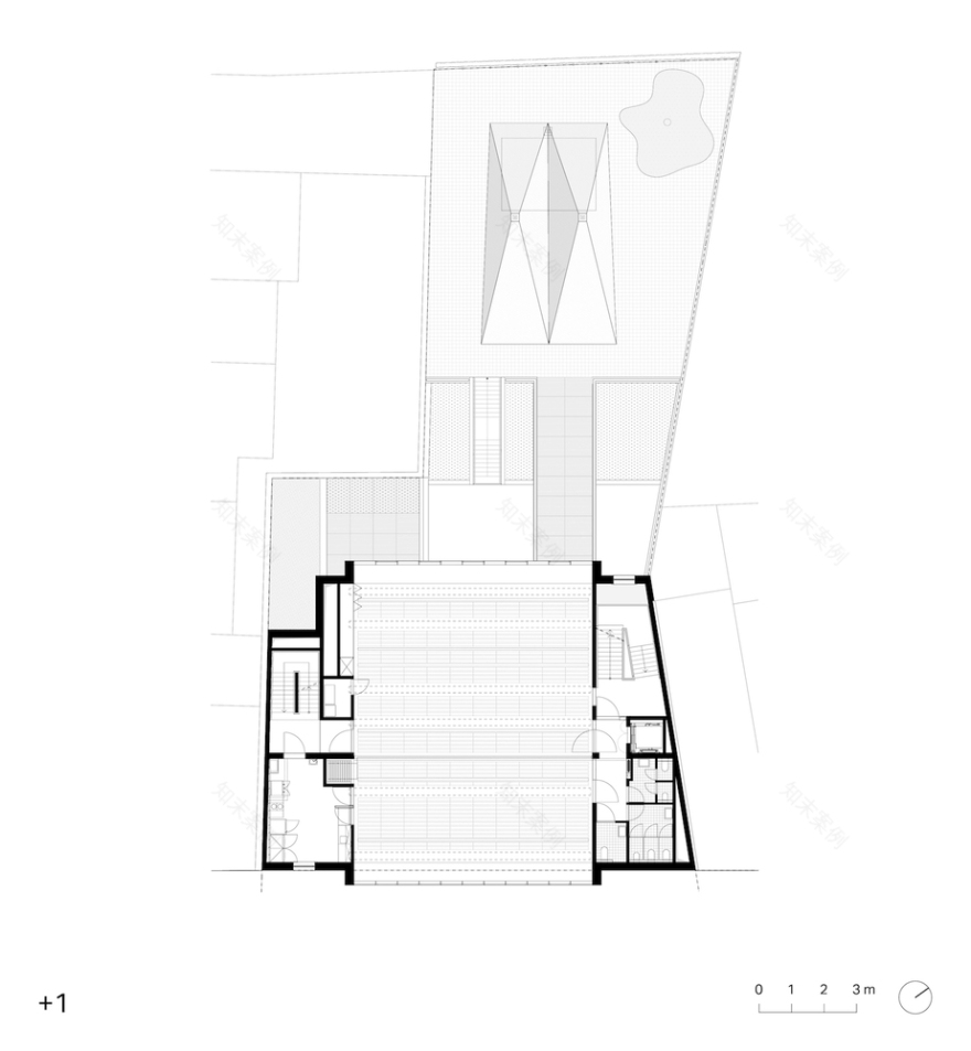 比利时秃头学校-32