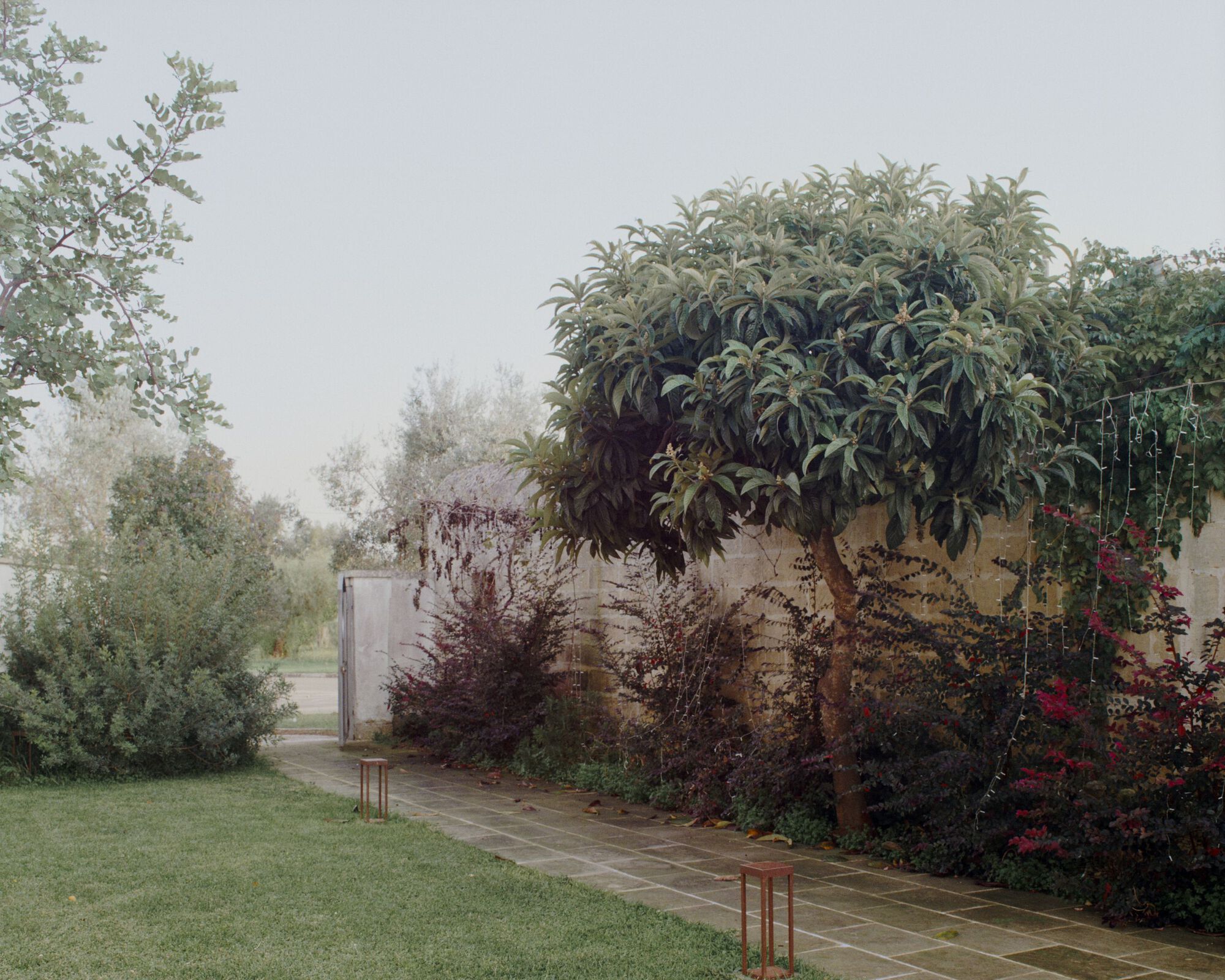 卡戎庄园（注：Masseria常见指意大利南部的一种乡村庄园，Caronte是意大利语中对应希腊神话里冥河渡神卡戎的名字，这里结合常见含义给出此翻译） 丨意大利丨Margine-30