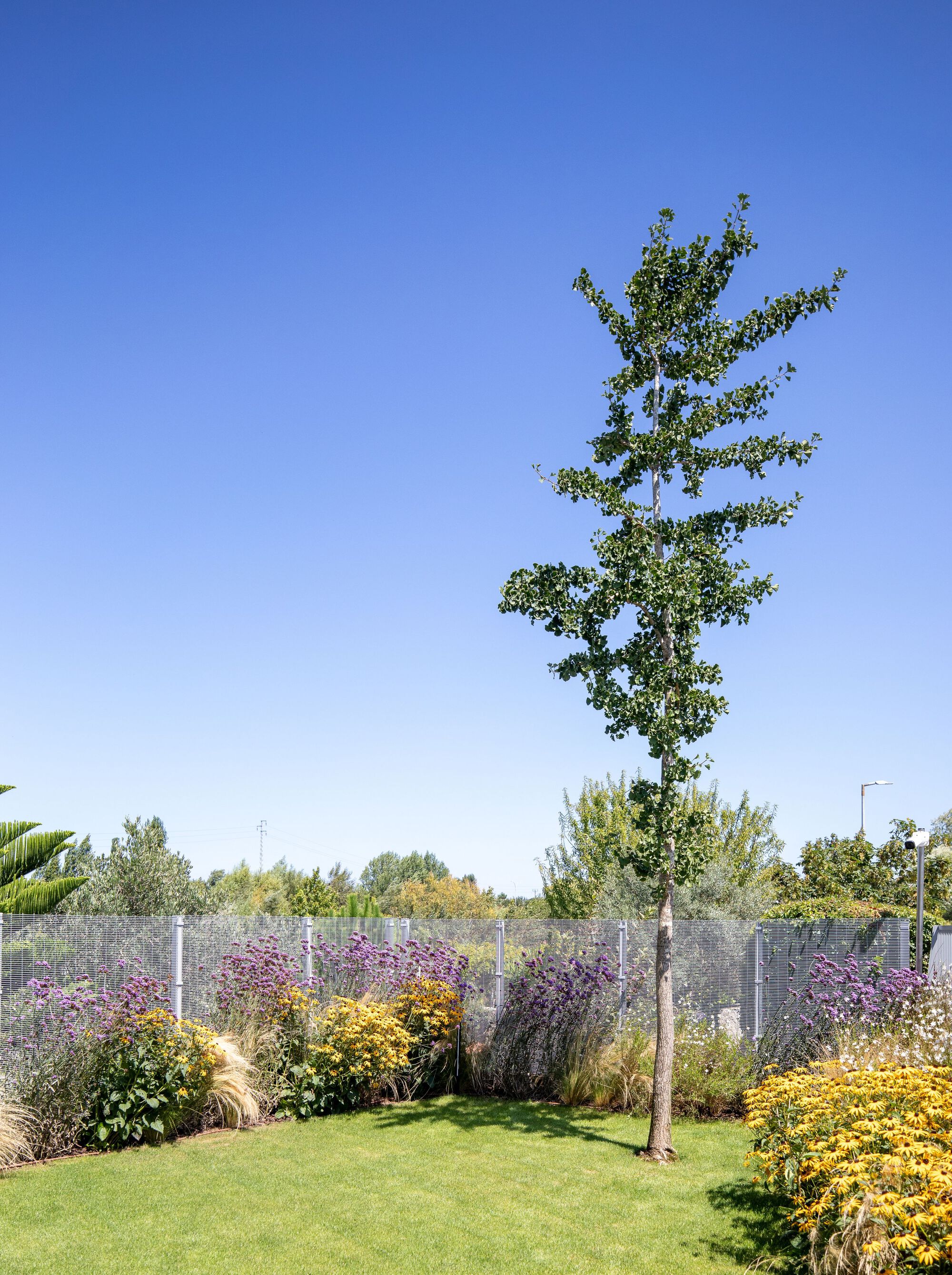 城市公园住宅丨葡萄牙丨Nelson Resende Arquitecto-60