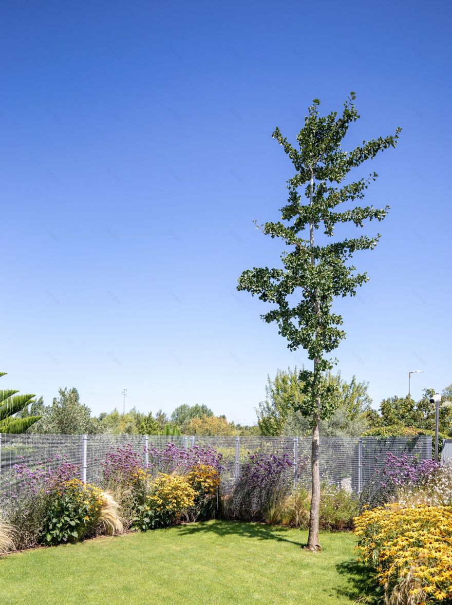 城市公园住宅丨葡萄牙丨Nelson Resende Arquitecto-60