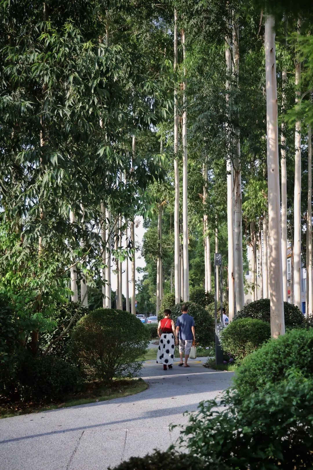 yǒu作品 |  蜀龙大道——公园城市街道一体化践行-79