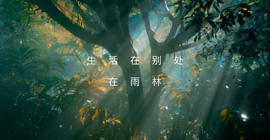 远洋·天著春秋平墅样板间 | 热带雨林与现代都市的完美融合-0