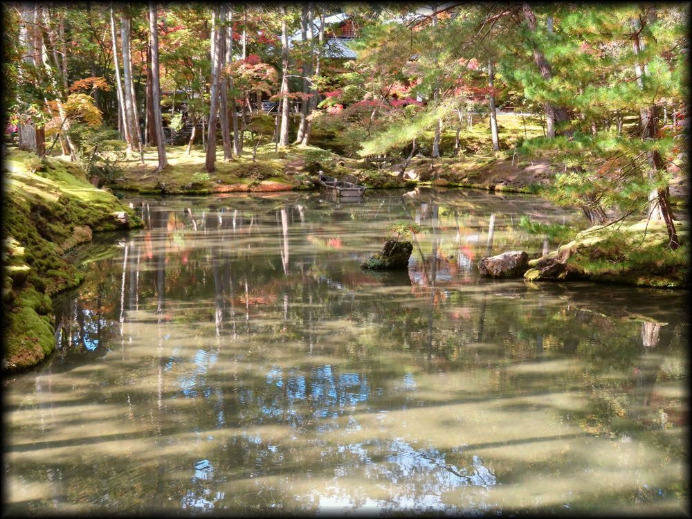 苔寺（西芳寺）的苔庭（黄金池,金刚池）丨日本京都丨梦窗疎石-32
