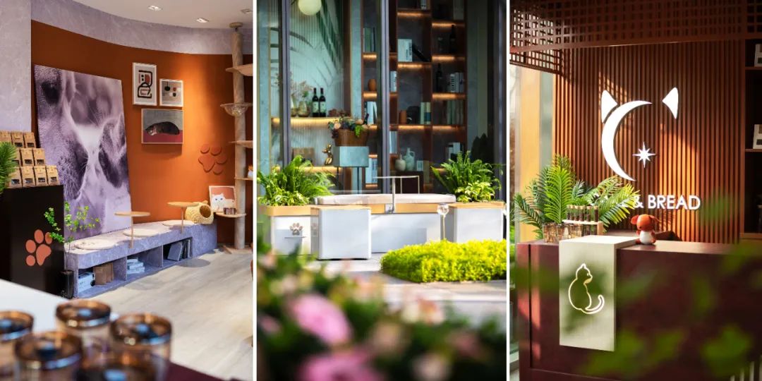 卓越·和奕府（展示区）丨中国深圳丨上海日清景观设计有限公司-25