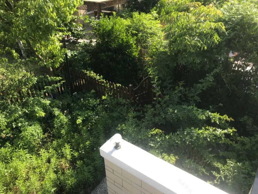 上海 50 平米养老花园 | 现代简约,回归生活-44