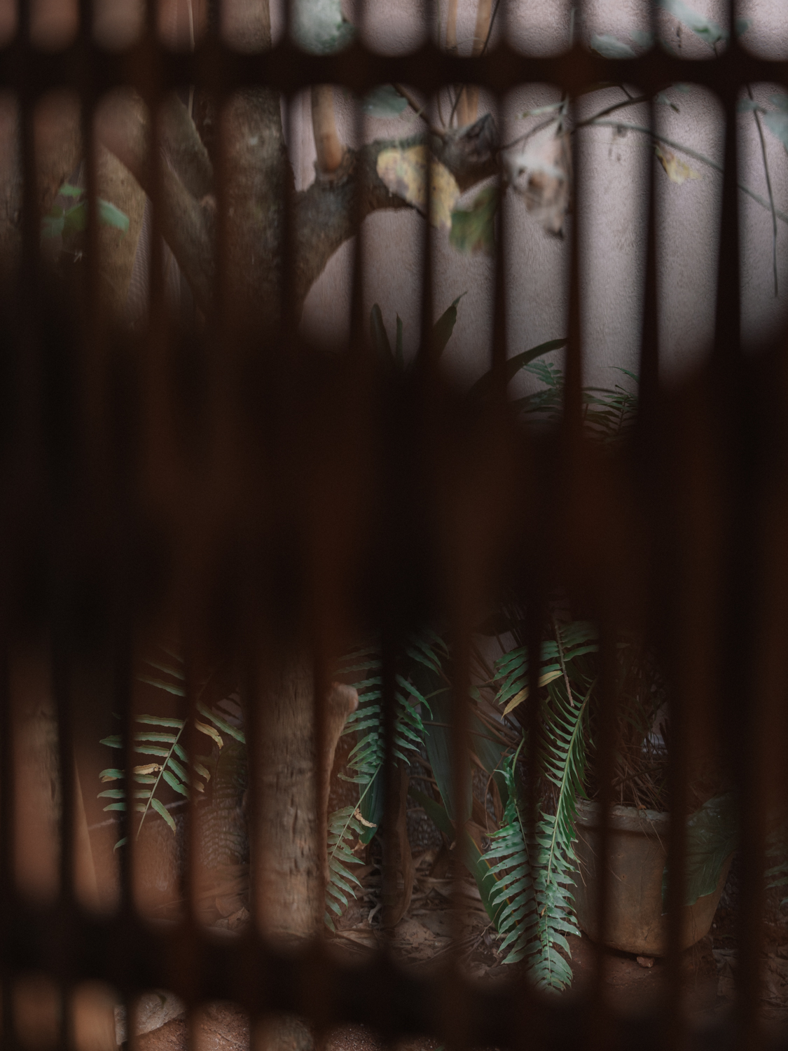 科尔朱埃姆的房子丨Field Atelier-31