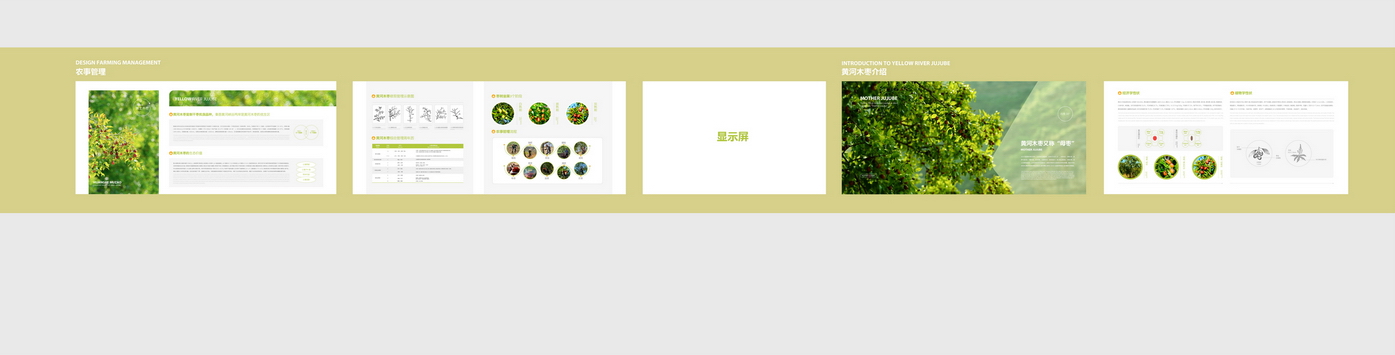 秦晋黄河红枣馆布展规划设计丨DSutdio-35