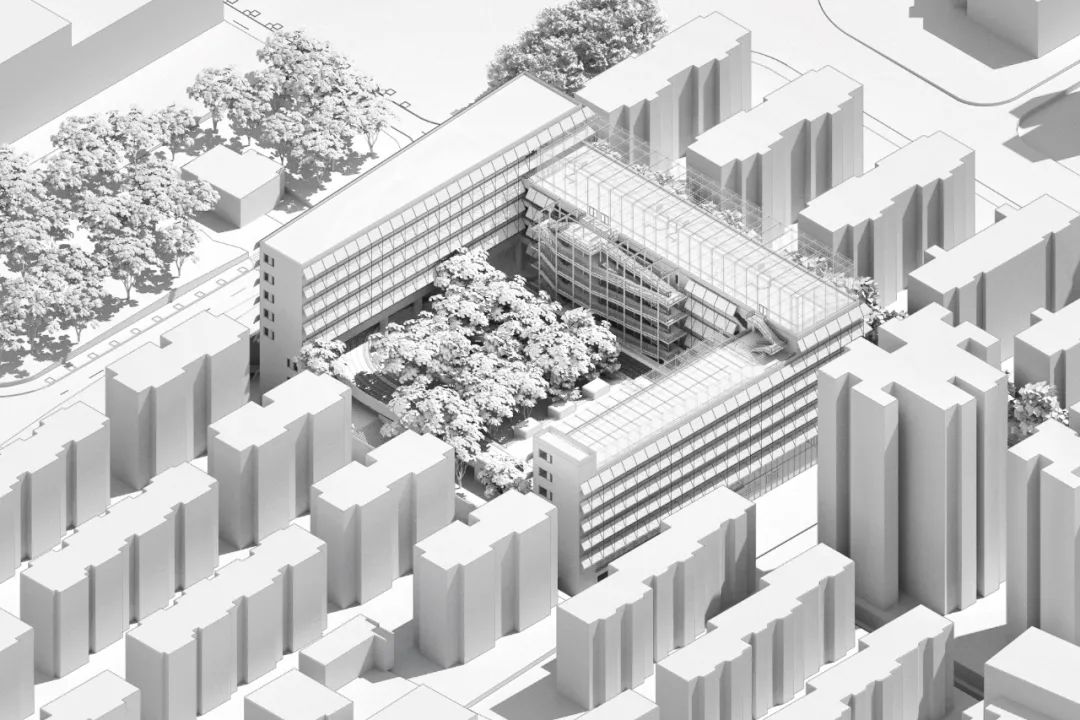 深圳新校园行动丨中国深圳-17