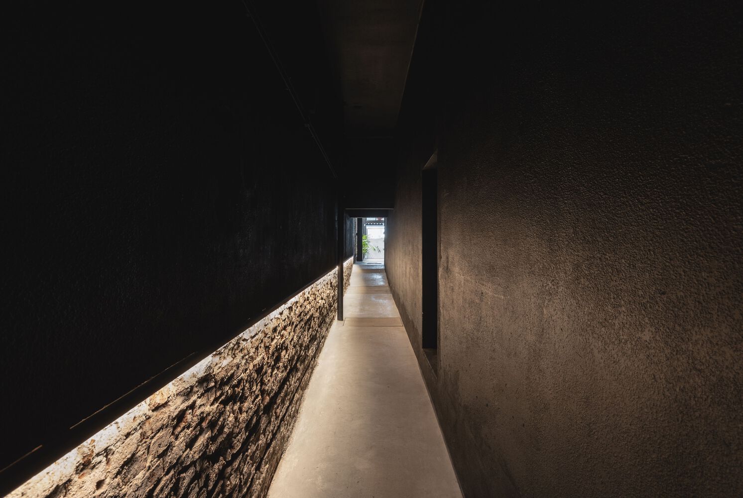 Wild Fi Offices | 绿色生态办公空间的典范-2