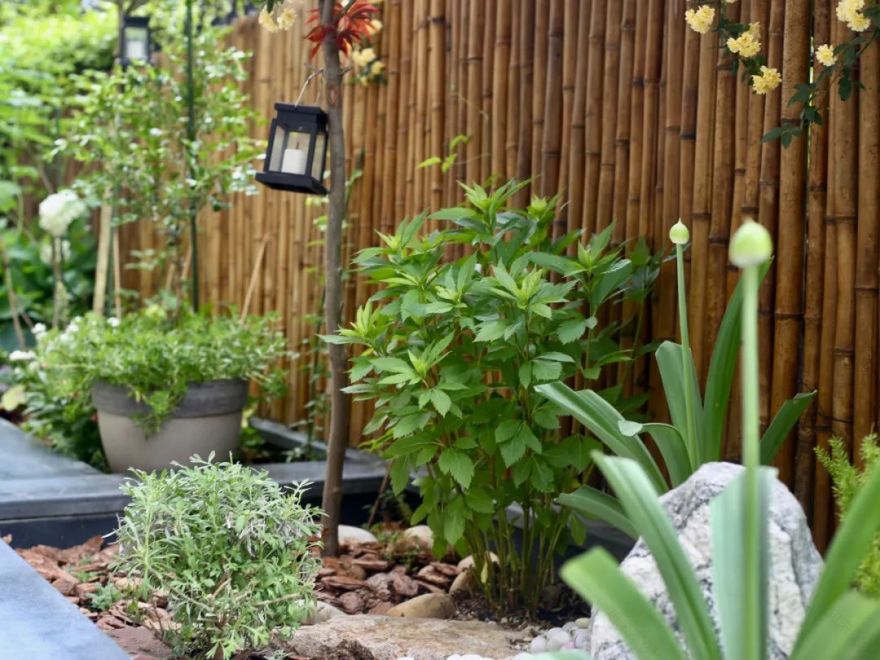 四月天小院丨禾景装饰工程有限公司-30