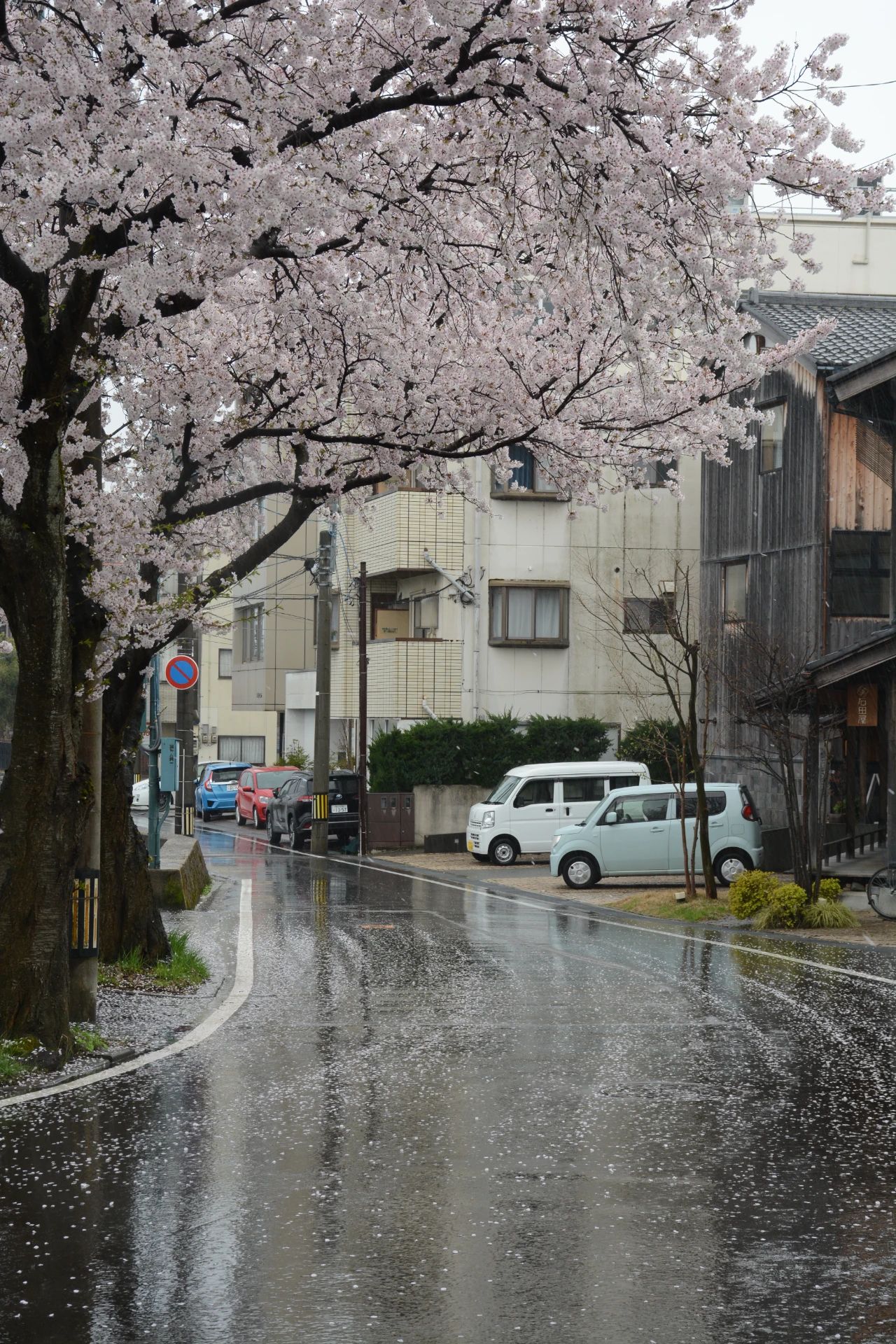 谷口吉郎·吉生纪念 金泽建筑馆丨日本丨谷口吉生-72