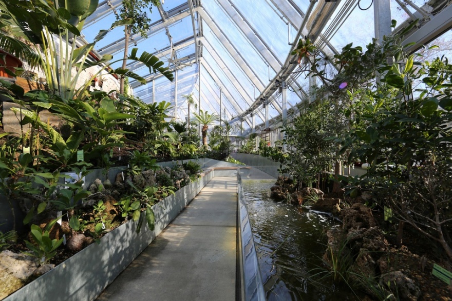 韦尔斯利全球植物温室 · 绿色奇迹,教育科研新地标-9