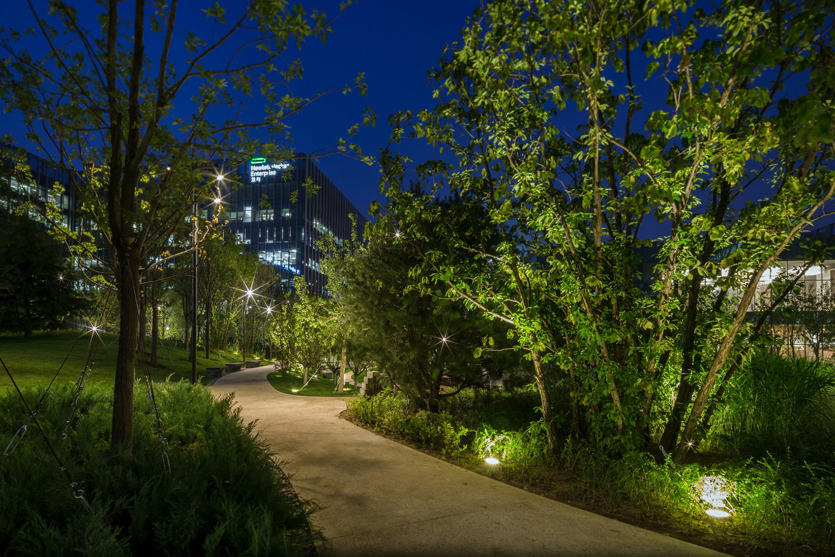 合院中的绿林·利星行中心（北京）景观设计丨中国北京-52