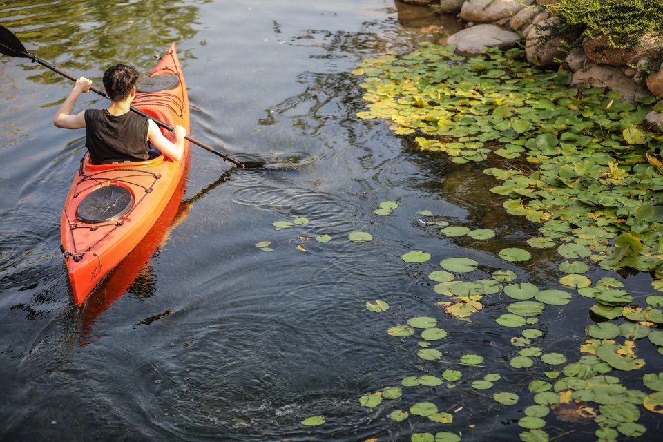 西川生态修复景观设计案-90