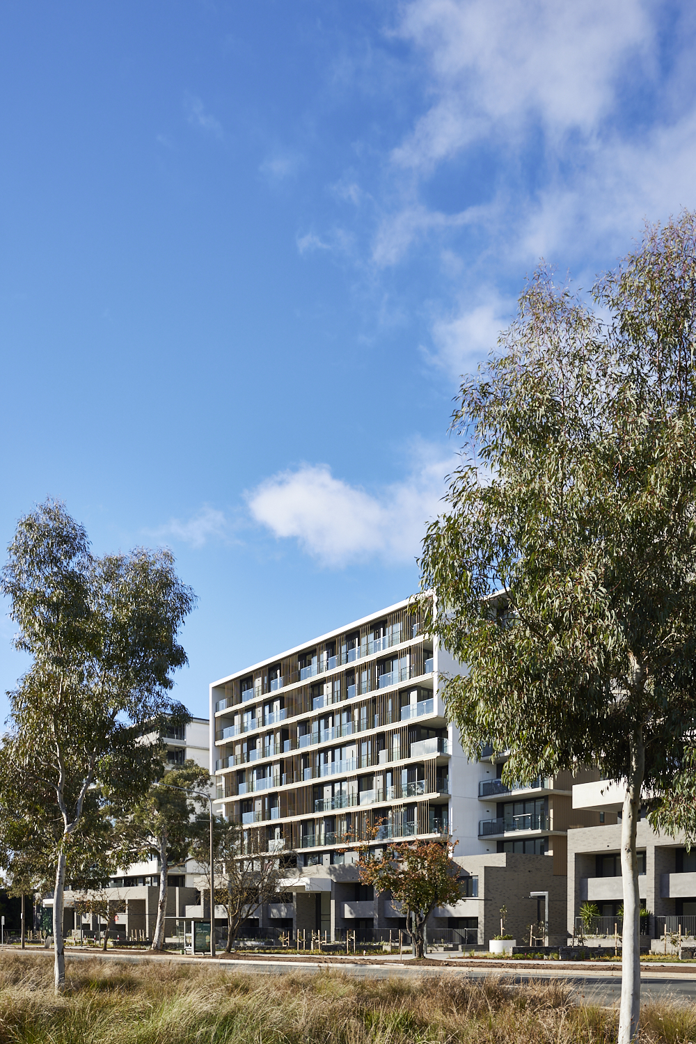 "澳洲 Soho 区的文化枢纽 | Mulberry 公寓"-17