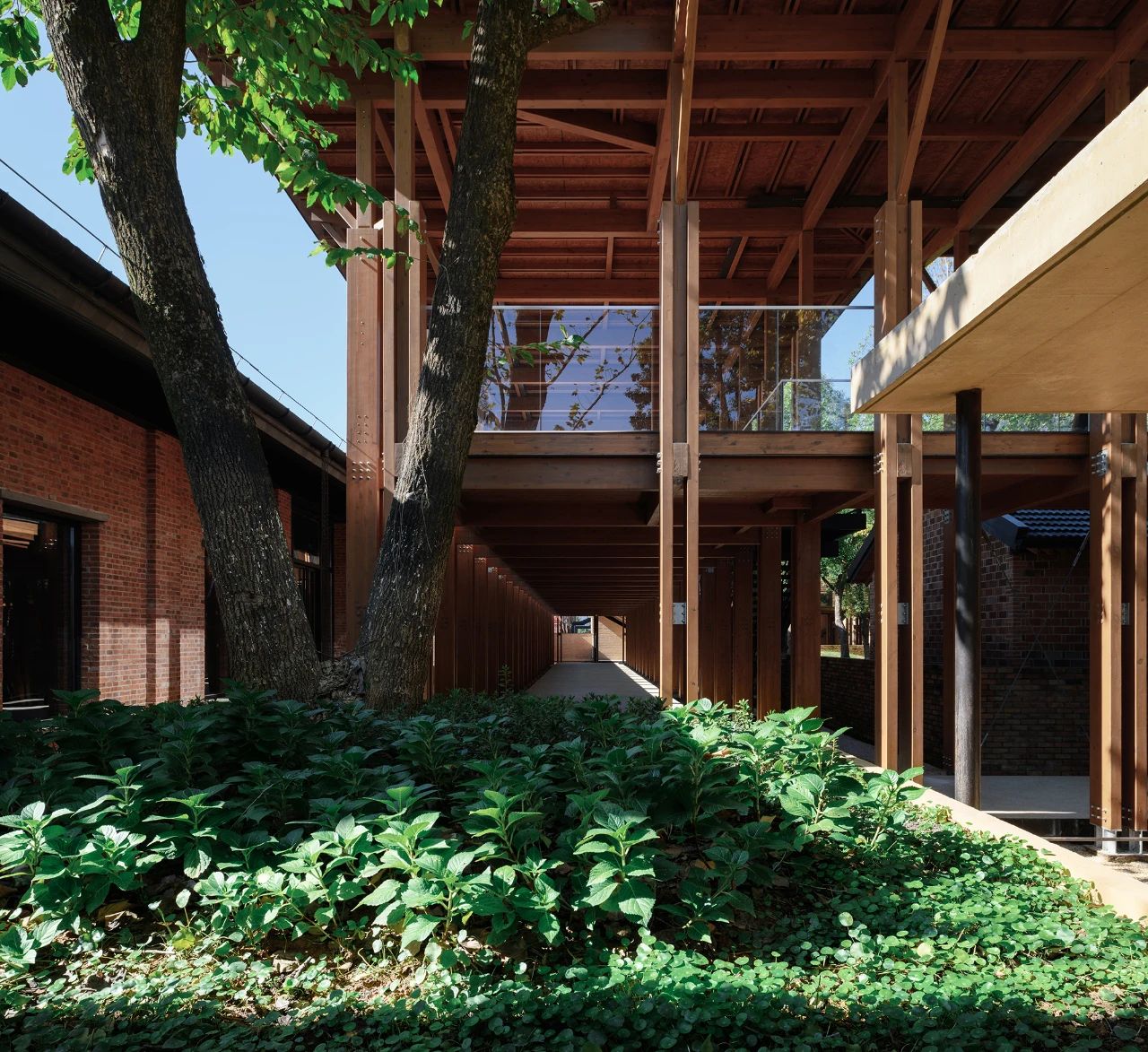 景德镇川上行（景仰书院）丨中国景德镇丨直向建筑-84