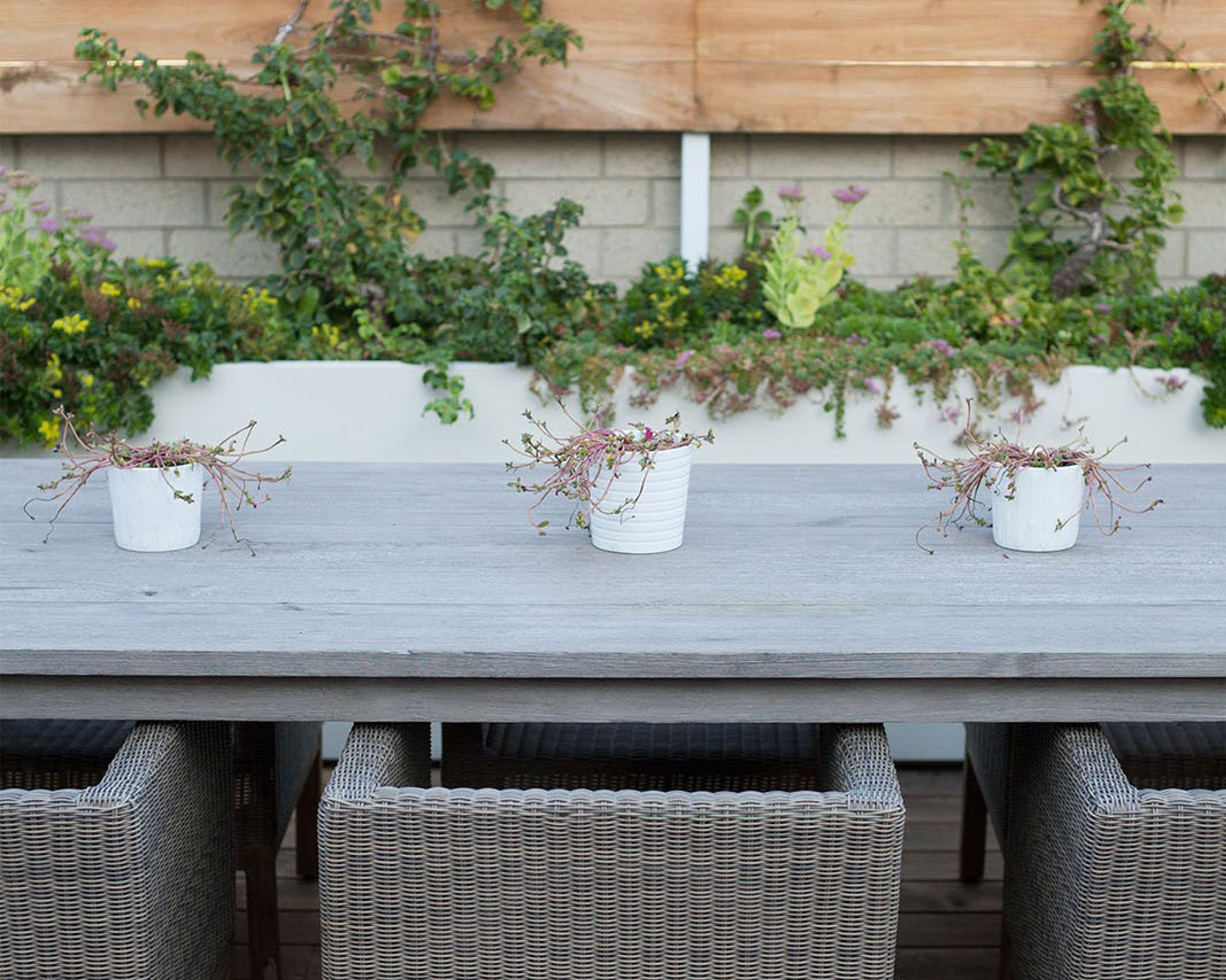 丨美国芝加哥-20