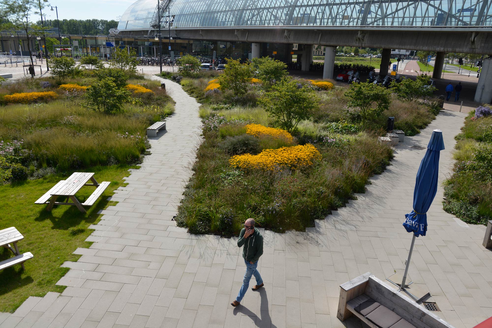 阿姆斯特丹交通枢纽绿色公共空间惊艳变身-0