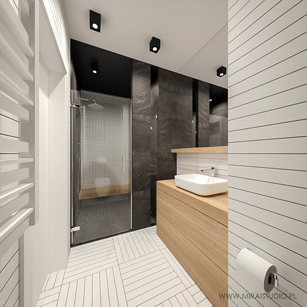 VISUALIZATION vs REALISATION-24