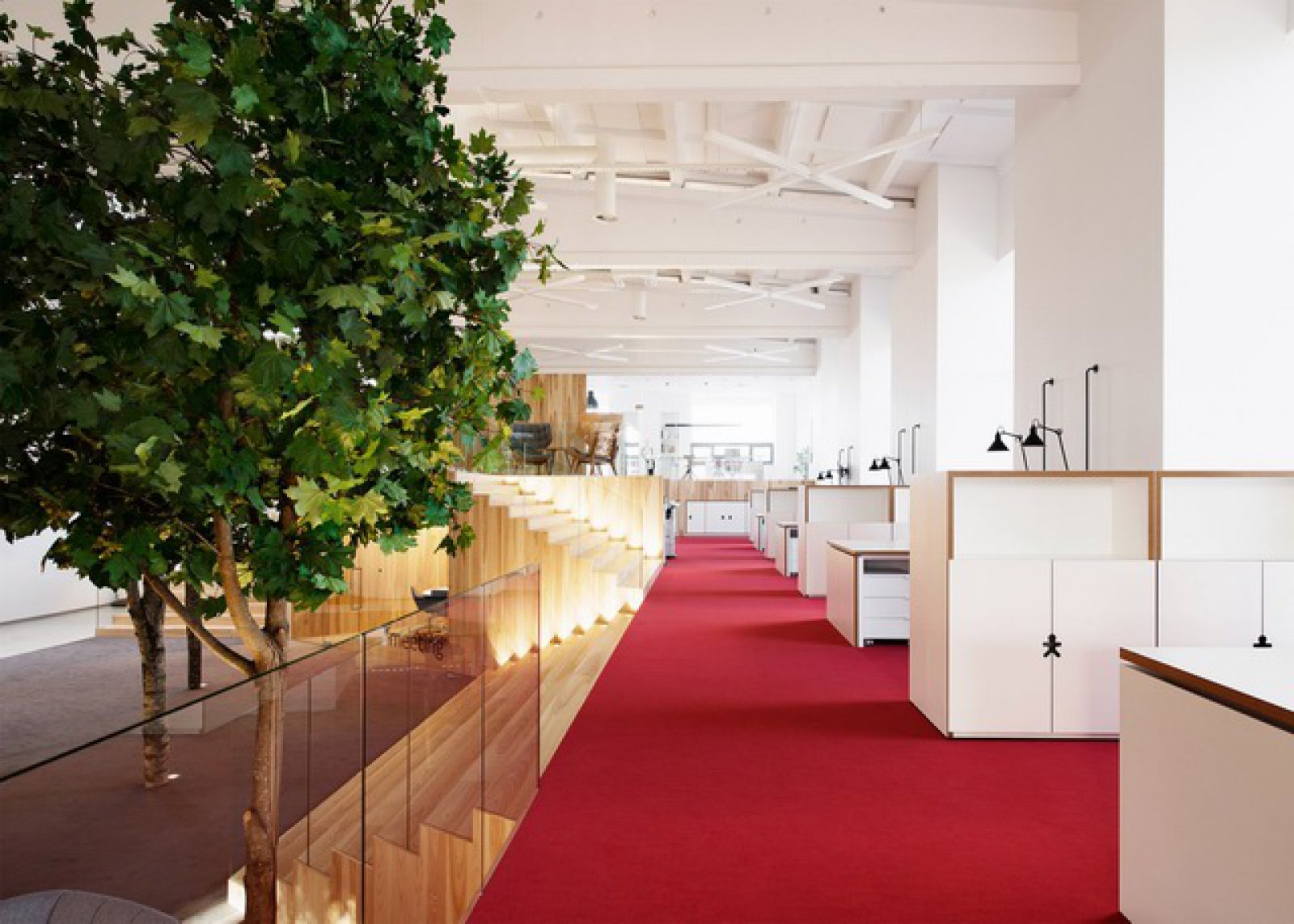 夏日森林办公空间 tree filled office  KAMP Arhitektid-5