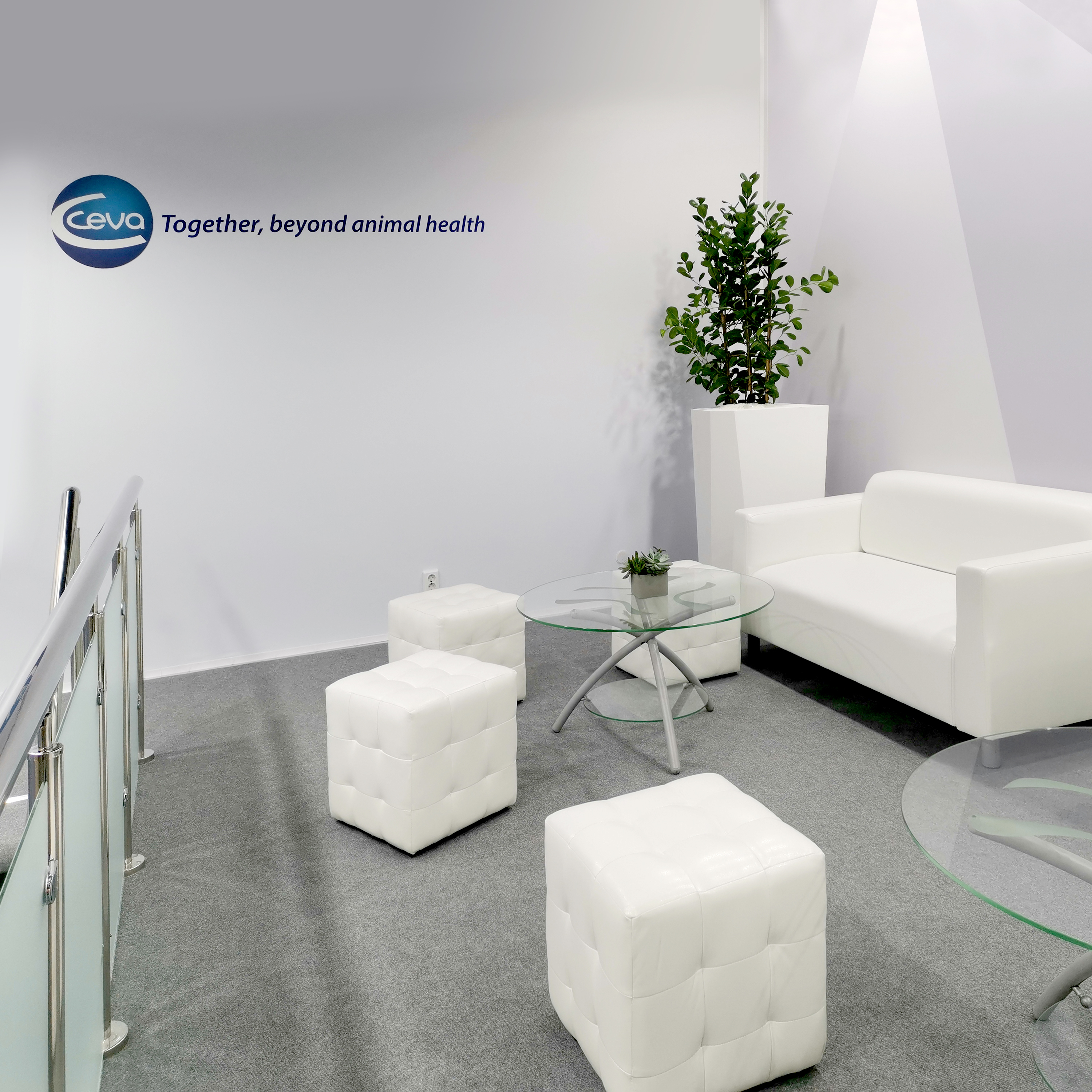 CEVA SANTE ANIMALE | ЗКВ 2022-11