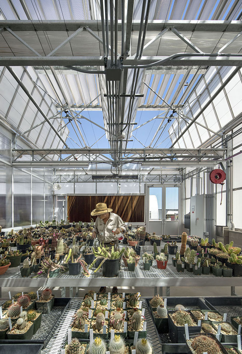 沙漠植物园一期丨美国-36