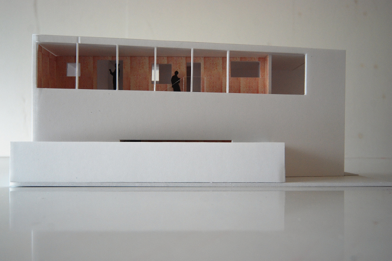 SHINGOU #121 - COGITE-54