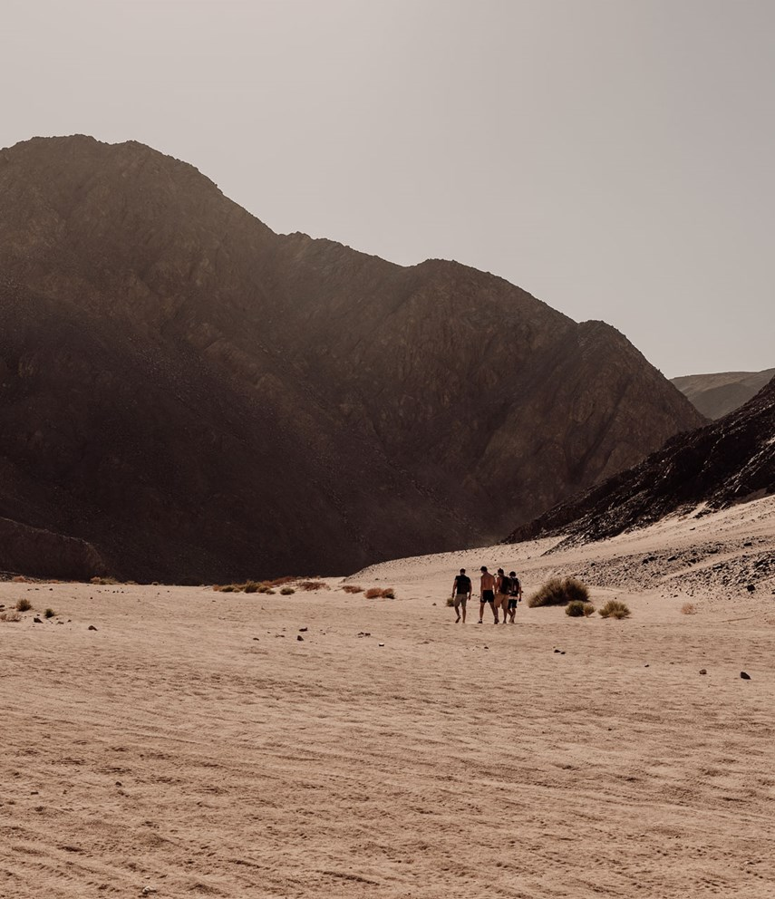 Casa Cook El Gouna 酒店丨埃及丨Common Architecture-77