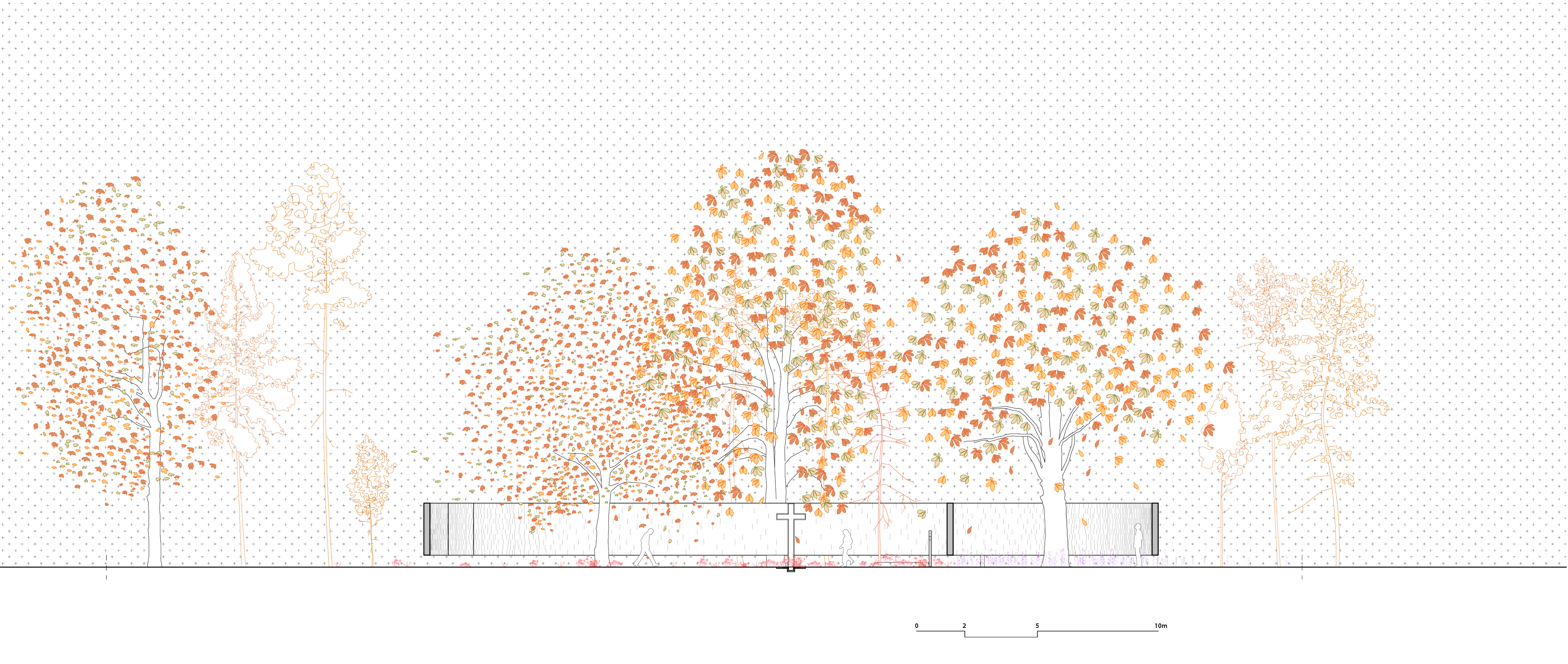 波兰军队士兵公墓丨ngo+pasierbinski-16