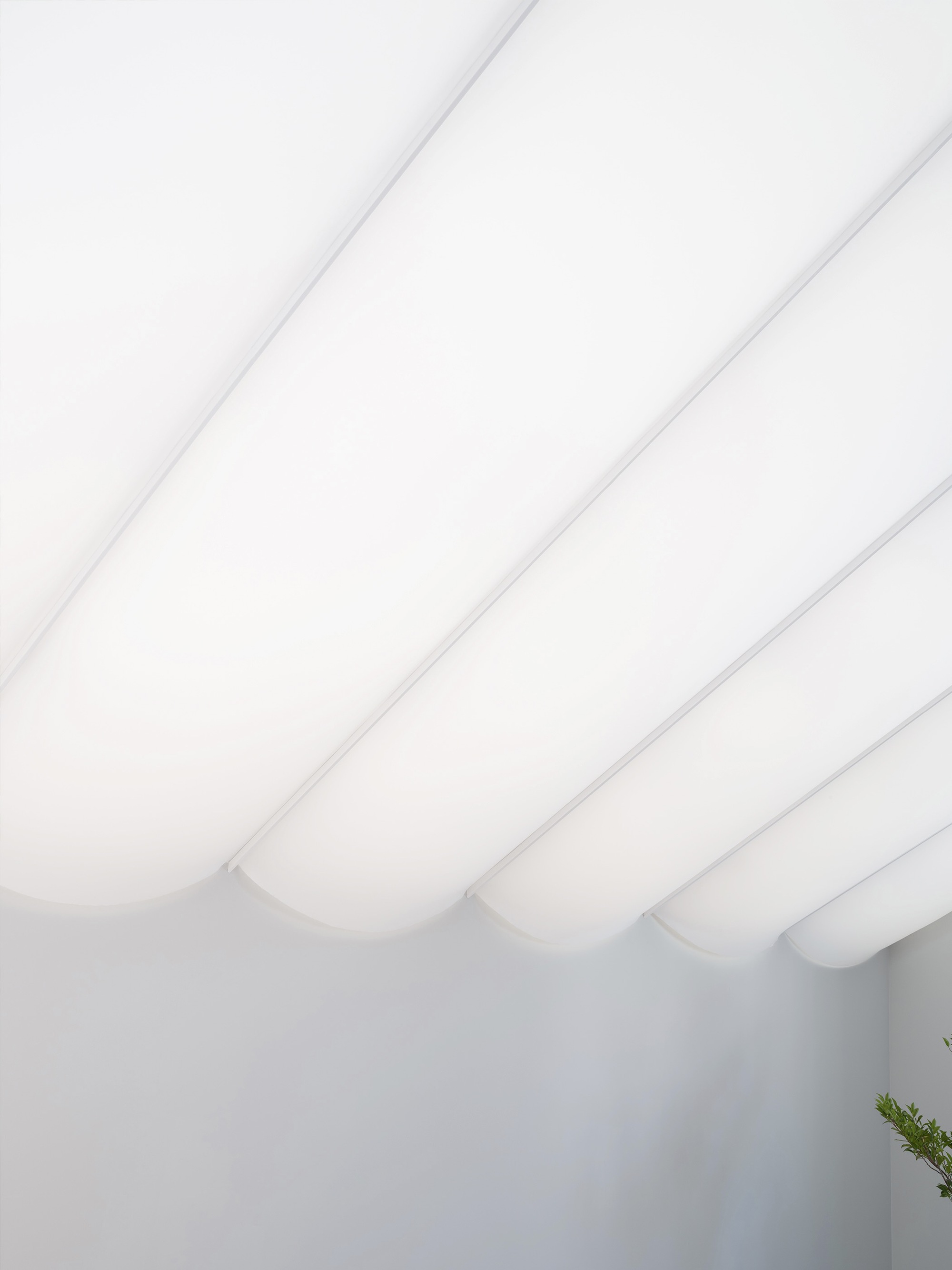 带膜屋顶的房子丨日本东京-18